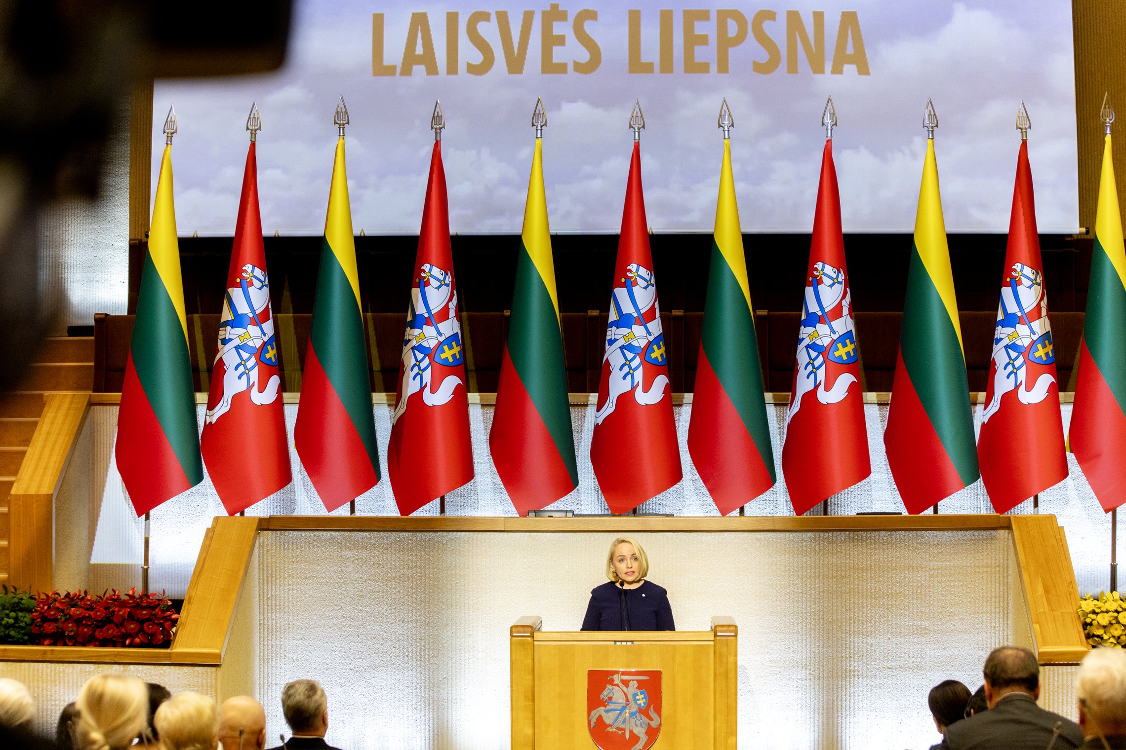teisingumo viceministrės Gabijos Grigaitės-Daugirdės nuotrauka
