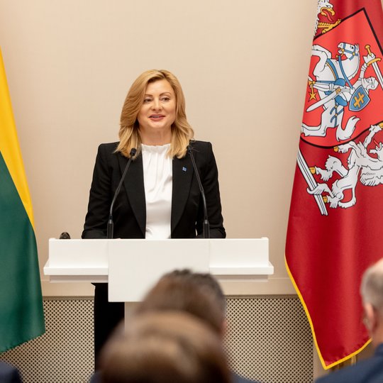Iliustracija