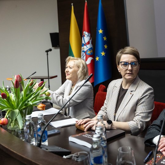 Iliustracija