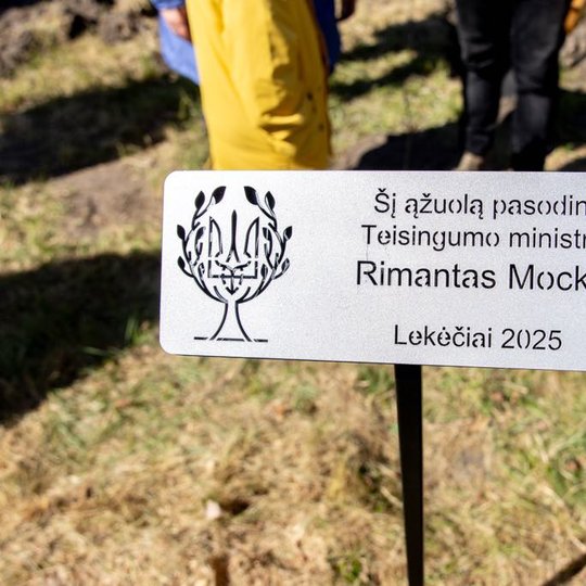 Iliustracija