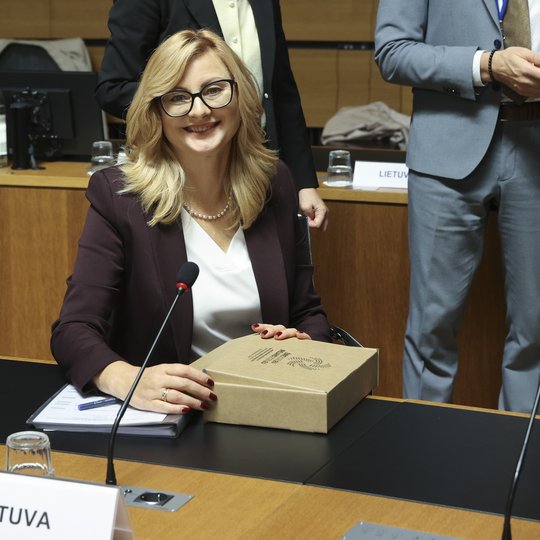 Iliustracija