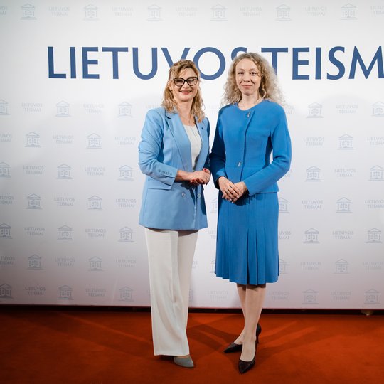Iliustracija